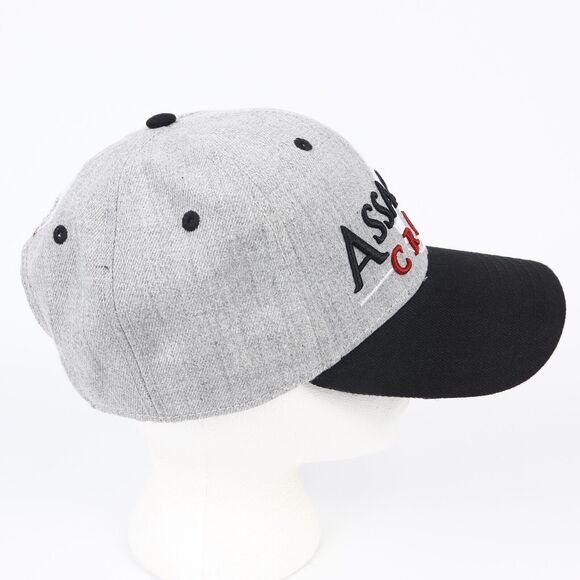 Assassin’s Creed Embroidered Logo Snapback Ball Cap Hat Gray Black 2016 - Picture 4 of 12